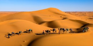 Marokkó egyik leglátványosabb területe a Szahara