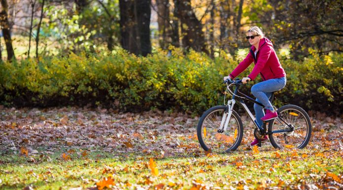 A biciklis útvonalak akár gyerekkel vagy unokákkal is használhatóak
