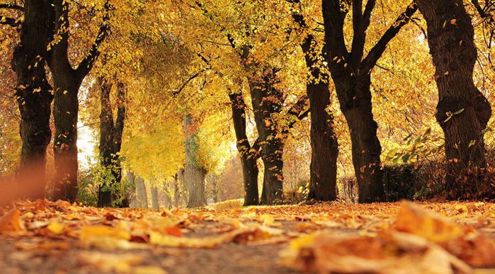 A Balaton ősszel is gyönyörű!